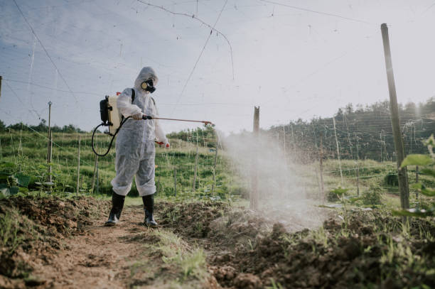 Best Pest Prevention Services  in Wlowbrook, IL