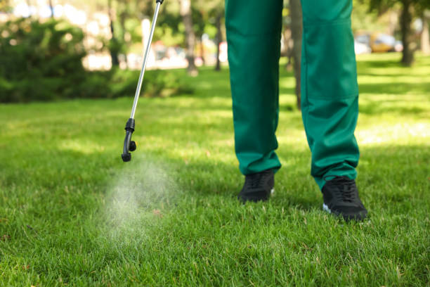 Best Flea Control Services  in Wlowbrook, IL