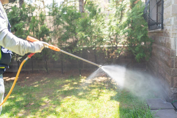 Best Spider Control Near Me  in Wlowbrook, IL