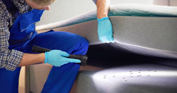 Best Emergency Pest Control  in Wlowbrook, IL
