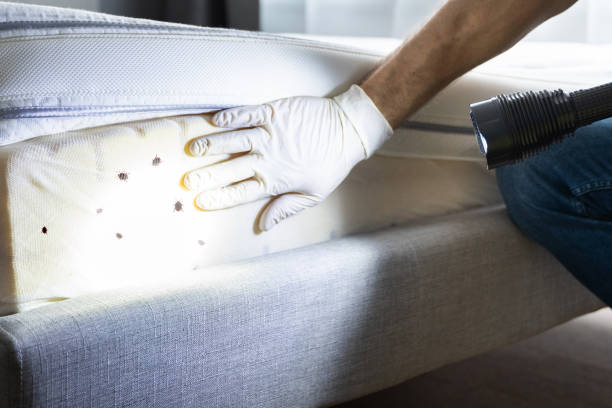 Best Pest Control Near Me  in Wlowbrook, IL