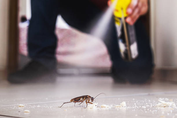 Professional Pest Control in Willowbrook, IL