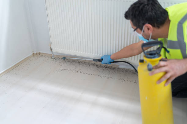 Best Pest Removal Services  in Wlowbrook, IL