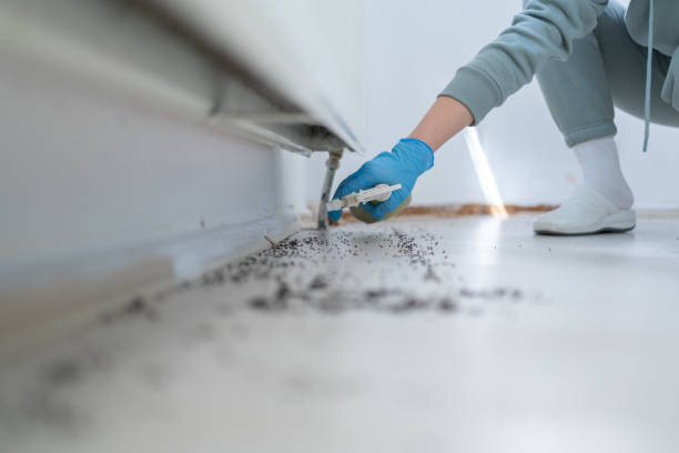 Best Affordable Exterminators  in Wlowbrook, IL