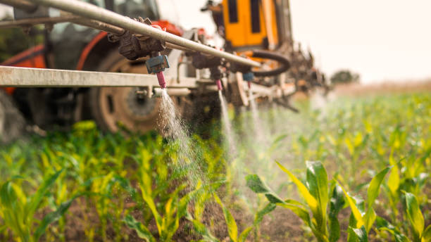 Best Local Pest Control Services  in Wlowbrook, IL